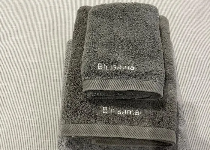 Binisamar Infinity Pool Over The Sea *